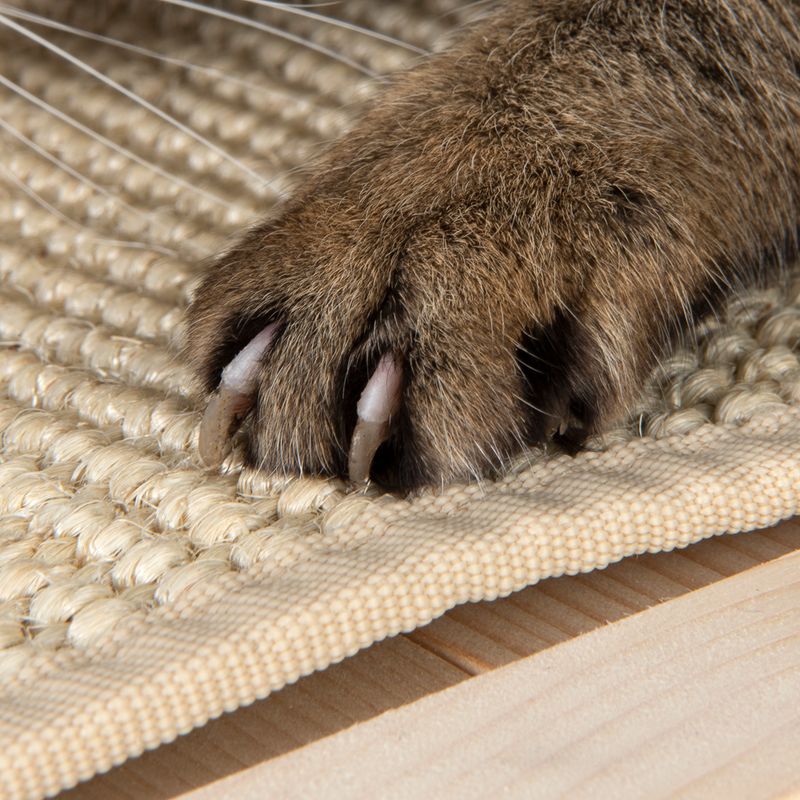 Modern Living Bora Bora Cat House 70 x 35 x 60cm (L x W x H)