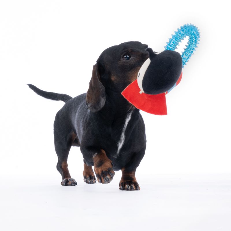 Warner Bros™ DC Superman Dog Toy with Ring Approx. 17 x 16 x 5cm (L x W x H)