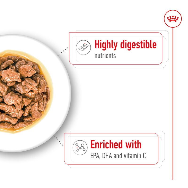 Royal Canin X-Small Adult in Gravy 12 x 85g