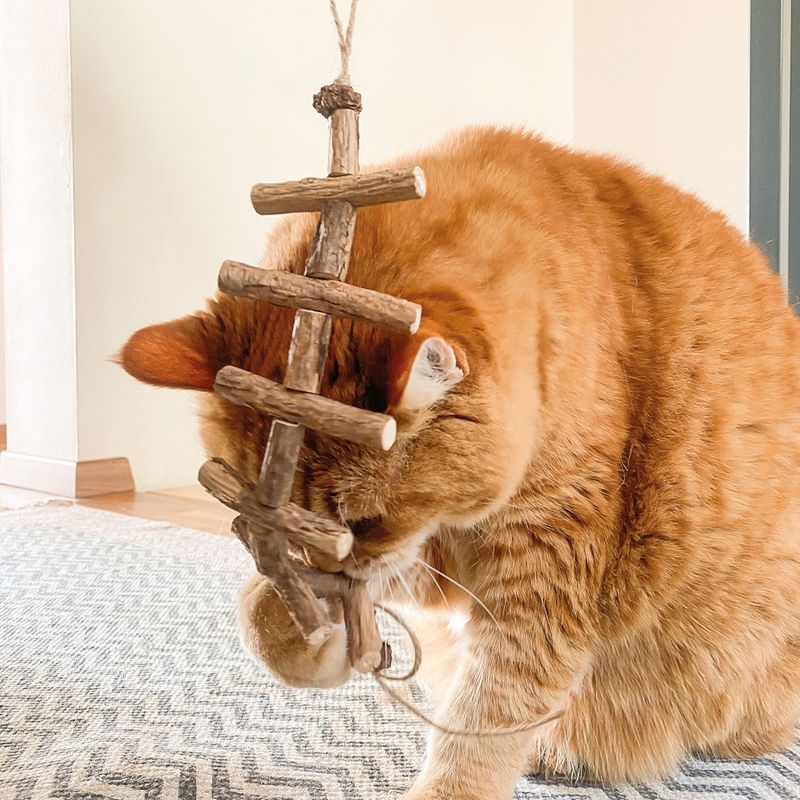 Aumüller Centipede for Cats 2 toys