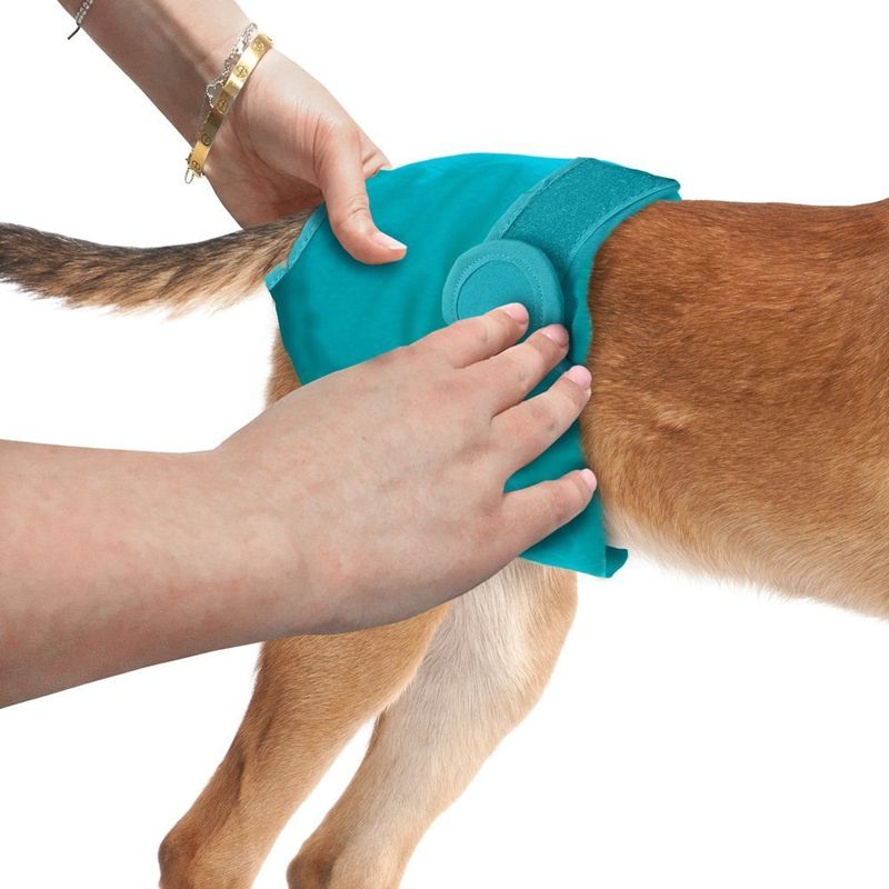 Simple Solution Washable Dog Nappy - Female Size XS, 1 Piece