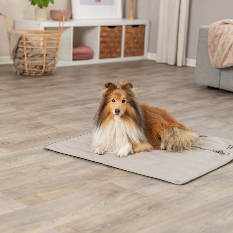 Trixie CityStyle Travel Blanket 80 x 80cm