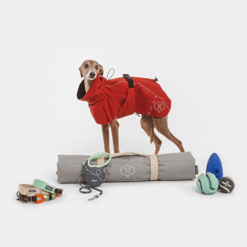 Nomad Tales Spirit Dog Raincoat - Copper approx. 40cm Back Length