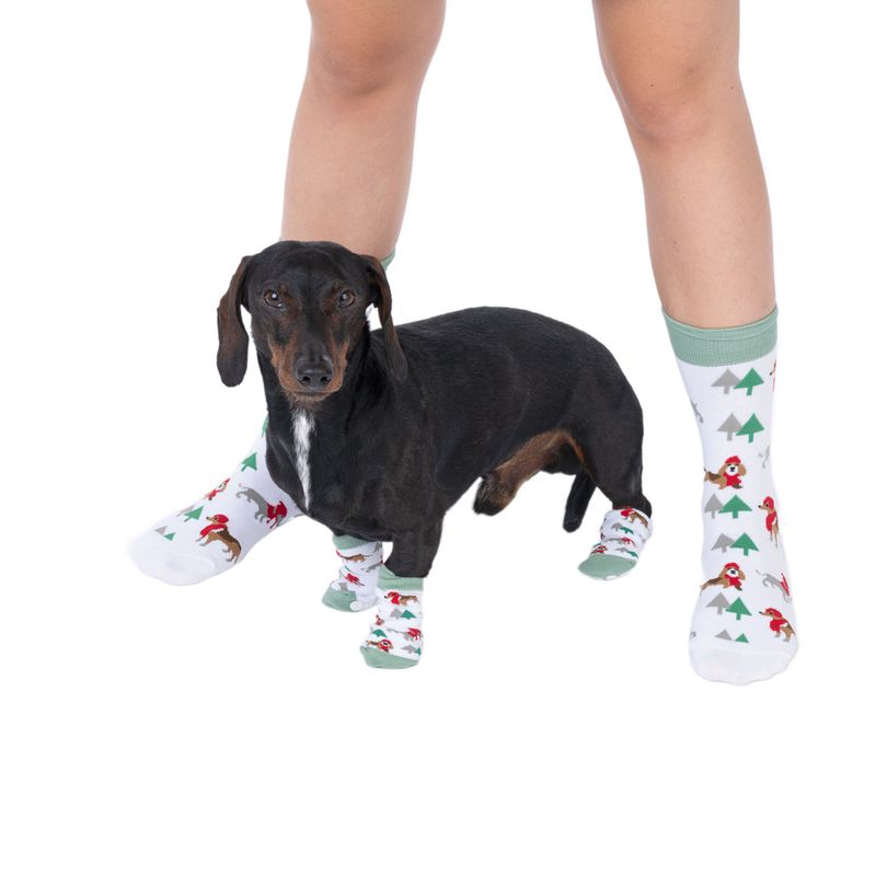 TIAKI Pet & Parent Winter Socks Set: Pet Socks (2 pairs) & Pawrent Socks (1 Pair)