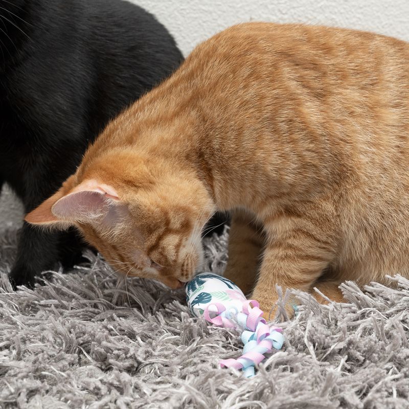 TIAKI Surfboard with Catnip 1 toy