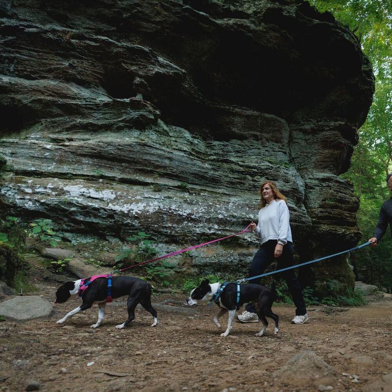 Ruffwear Hi & Light Harness - Alpen Glow Pink Size XS: 43 - 56cm Chest Circumference