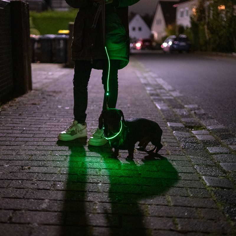 Nomad Tales Spirit USB LED Nylon Collar - Neon Yellow & Grey Size S/M: Neck circumference 35-50cm