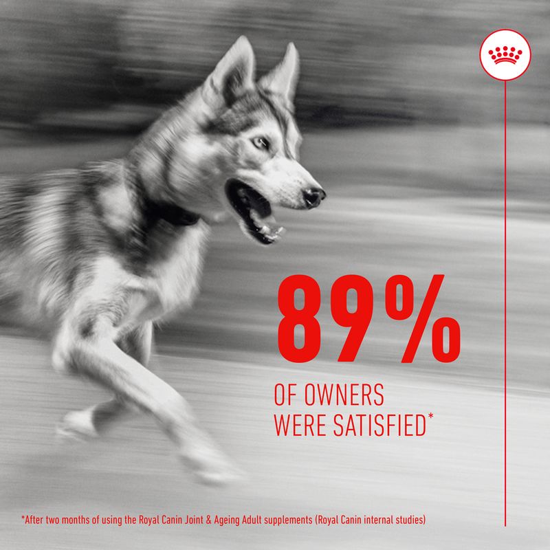 Royal Canin Joint & Ageing Adult Supplement Chews 240g (60 pieces)