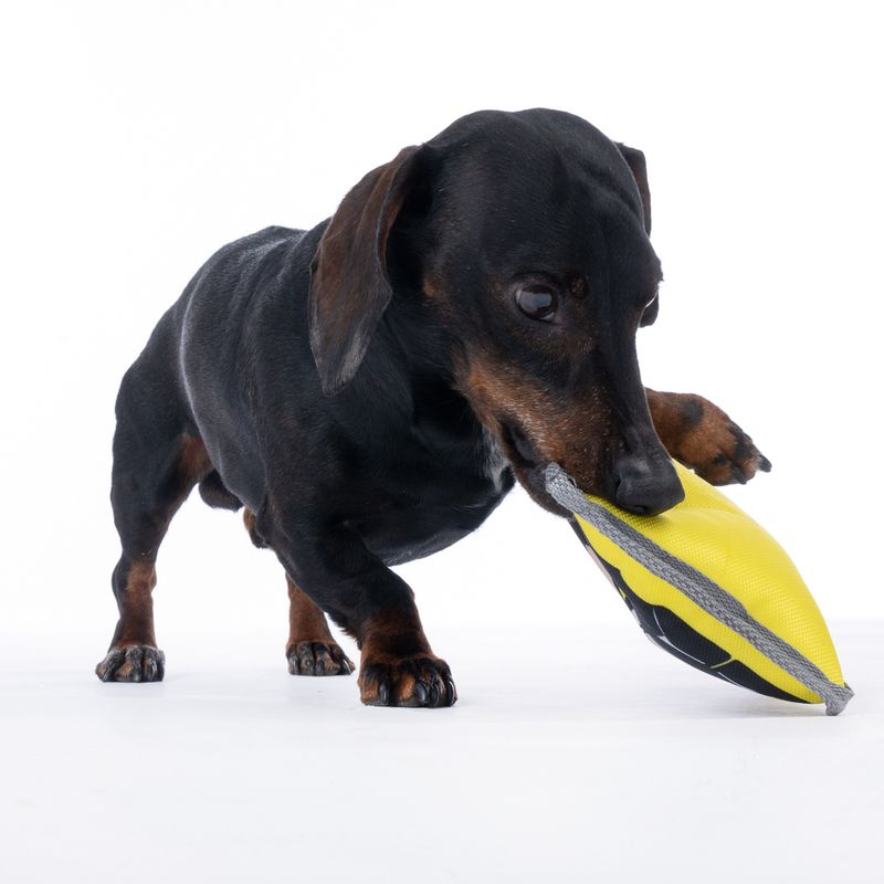 Warner Bros™ DC Batman Dog Toy 20 x 20 x 6 cm (L x W x H)