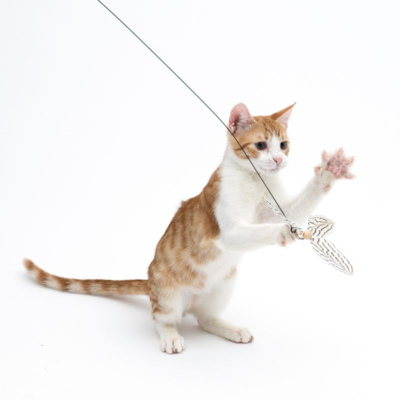 TIAKI Flying Feathers Cat Teaser 1 Toy