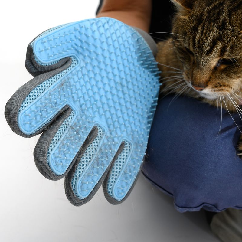 Grooming Glove 1 Glove