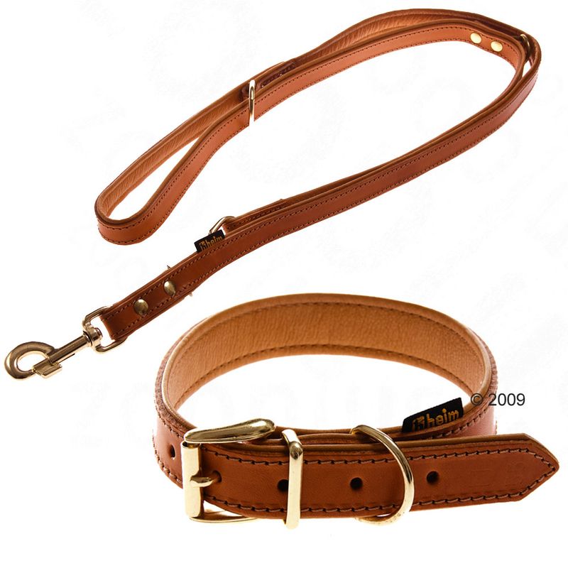 Heim Buffalo Dog Lead & Collar Set Set 1