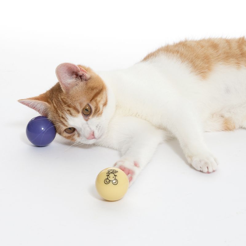 TIAKI LED Balls for Cats Set of 2