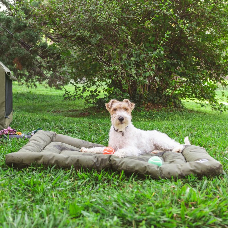 Nomad Tales Spirit Outdoor Dog Cushion Pine 74 x 46 x 7 cm (L x W x H)