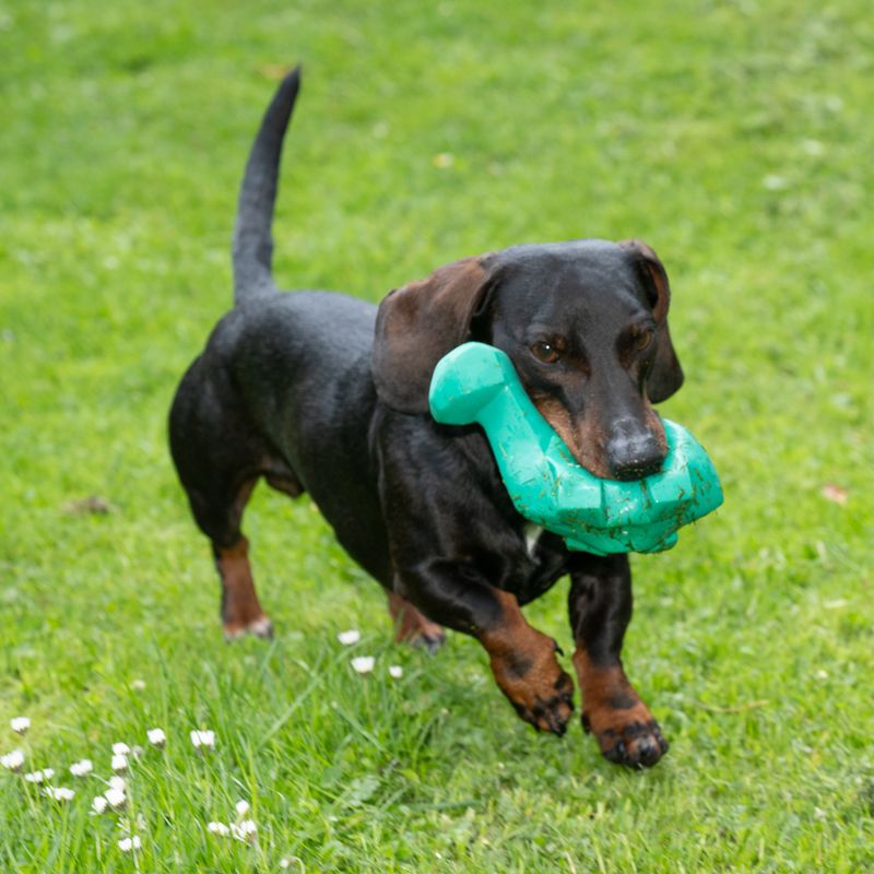 Modern Living Olympia Latex Dinosaur 15 x 7 x 12 cm (L x W x H)