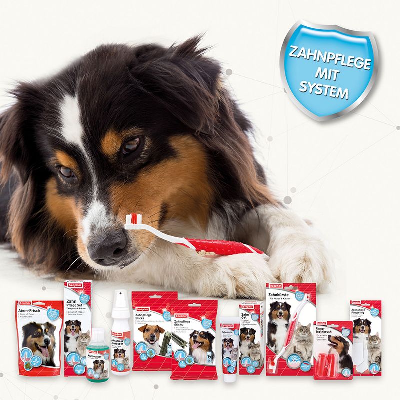 Beaphar dental hygiene sticks S, 7 pieces