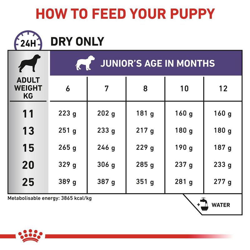 Royal Canin Expert - Neutered Junior Medium Dog 10kg