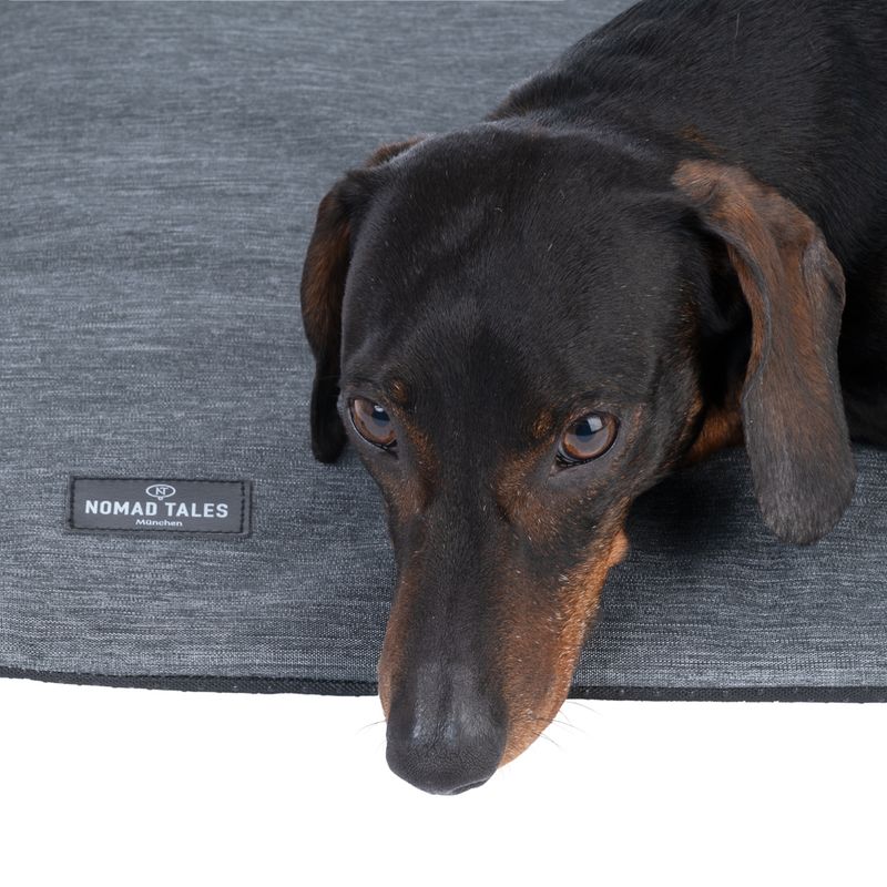 Nomad Tales Spirit Outdoor Riverway Dog Mat Size S: 76 x 46 cm (L x W)