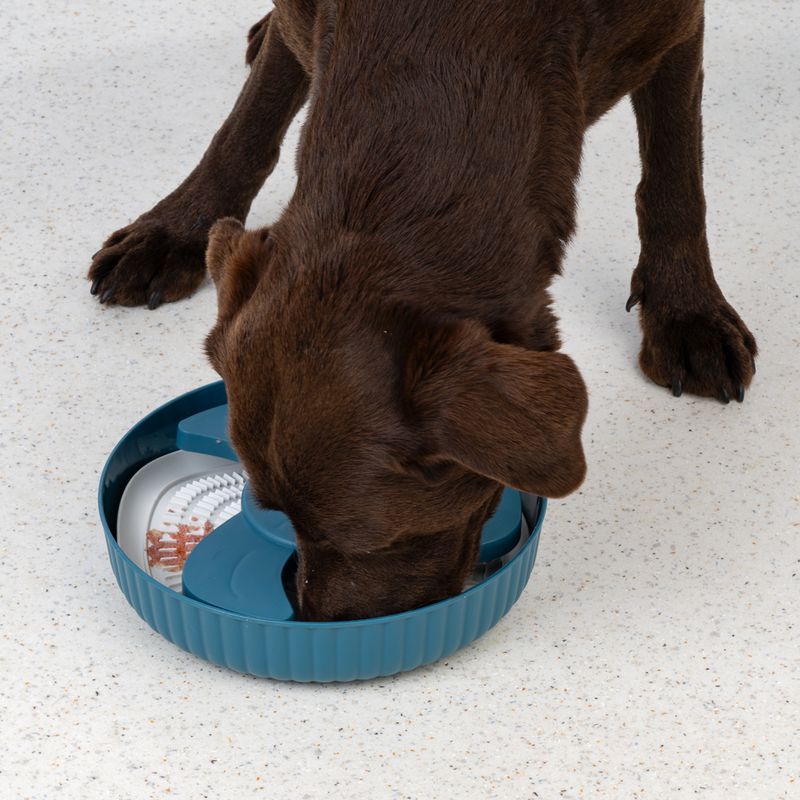 TIAKI Helice Slow Feeder 1000ml (25.5cm Diameter)