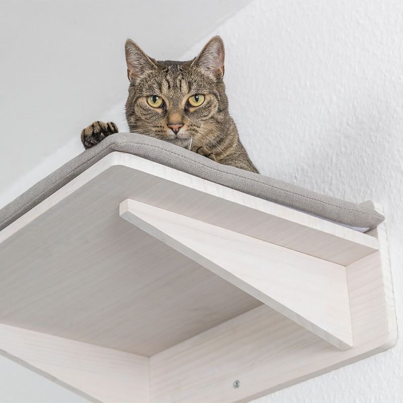 Trixie lounger with cushion L 50 x W x H 36.5 x 17.5 cm