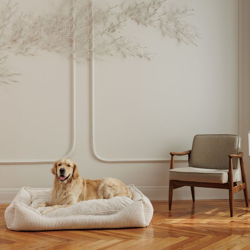 Modern Living Dog Bed Helena L: 65 x W x H 60 x 18 cm, beige