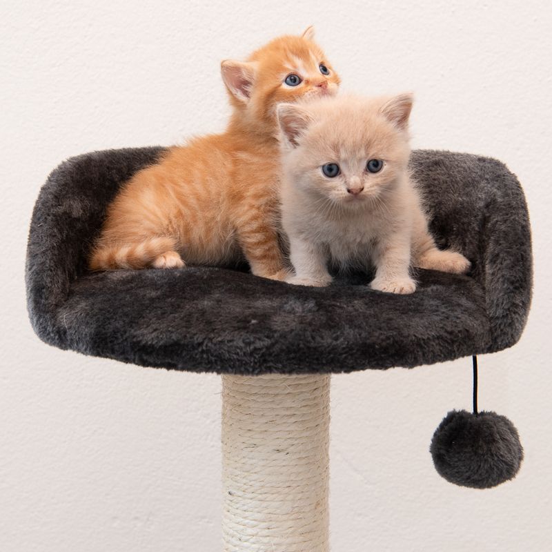Enio Cat Tree Dark Grey