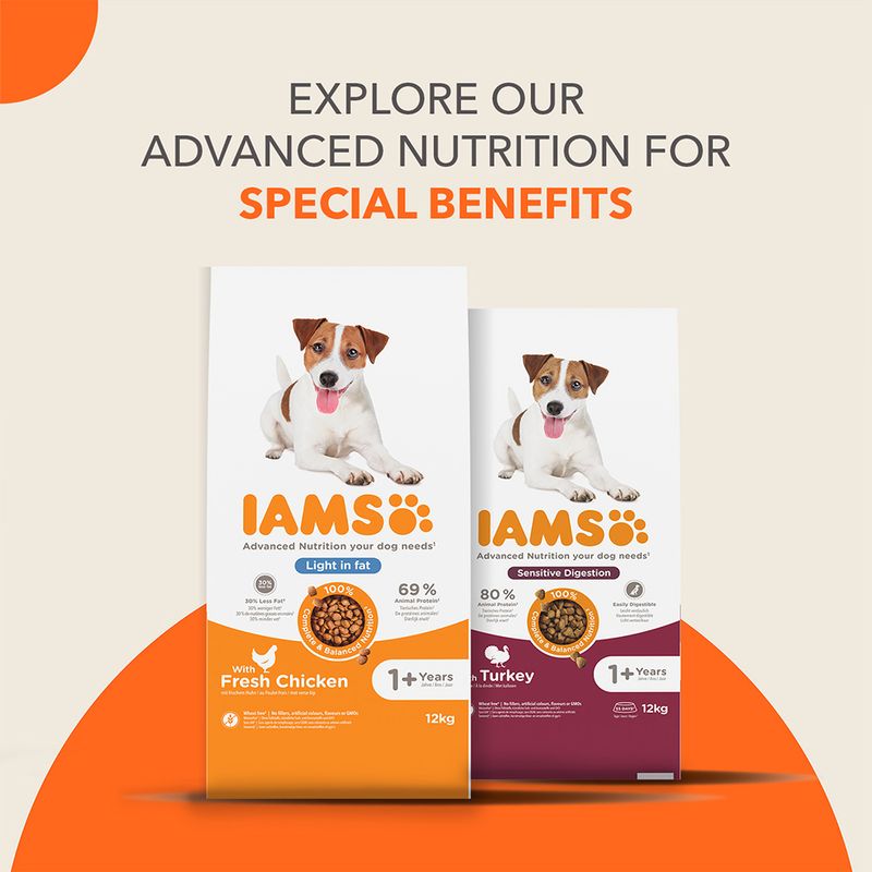 IAMS Advanced Nutrition Sensitive Digestion with Turkey 12kg