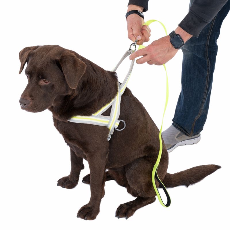 TIAKI Glow in the Dark Lead 120cm x 20mm (L x W)