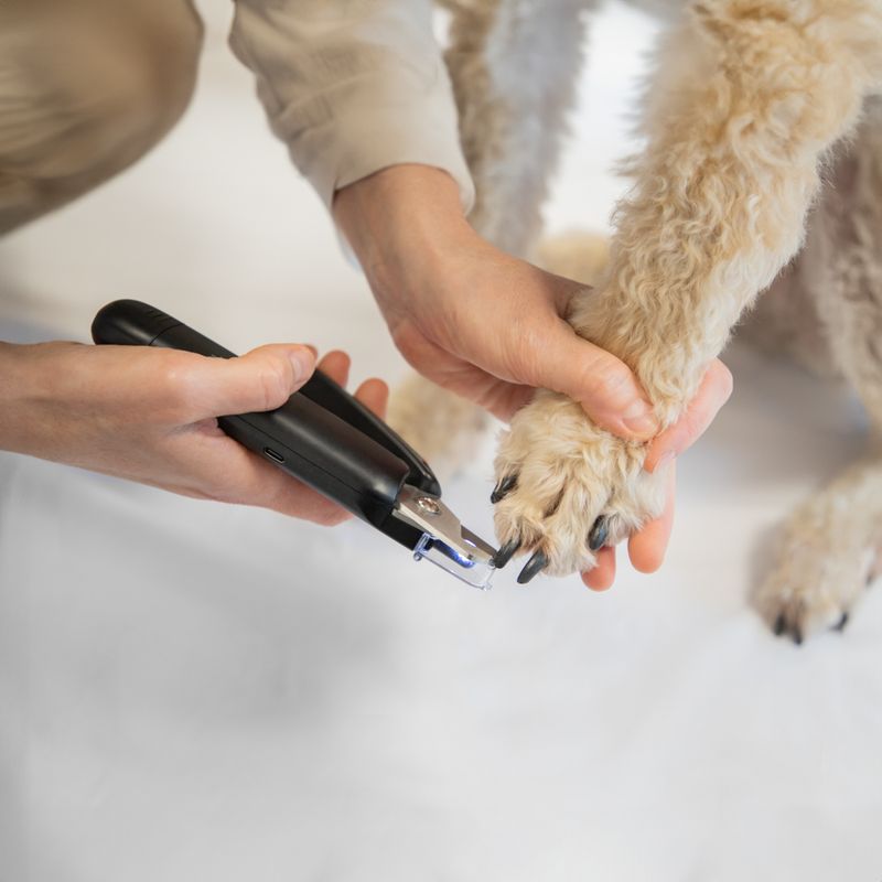 kooa 2-in-1 Claw Clippers & Grinder with LED approx. 20 x 9.9 x 4 cm (L x W x H)