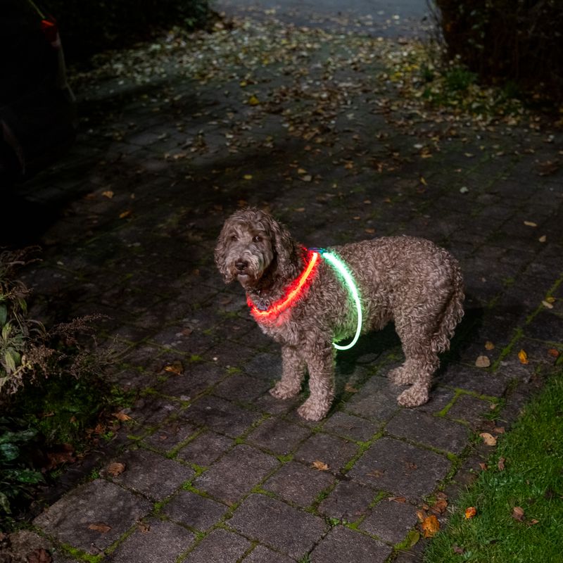 Nomad Tales Spirit USB LED Harness One Size: 90cm (max. Chest Circumference)