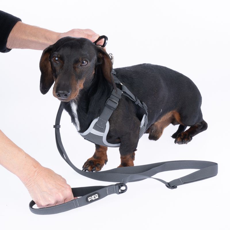 TIAKI Grey Dog Lead Length: approx. 150 - 200 cm