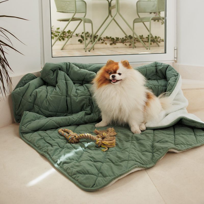 Modern Living Dog Blanket Victoria L 140 x W 125 cm