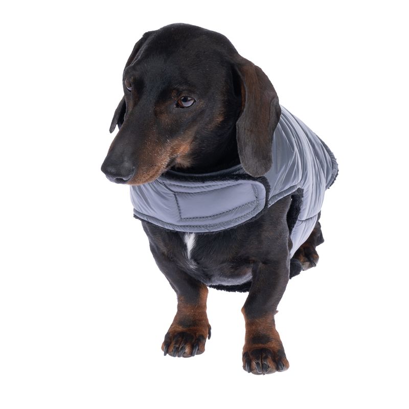 zooplus Basics Dog Coat with Reflective Zip approx. Back Length 30cm