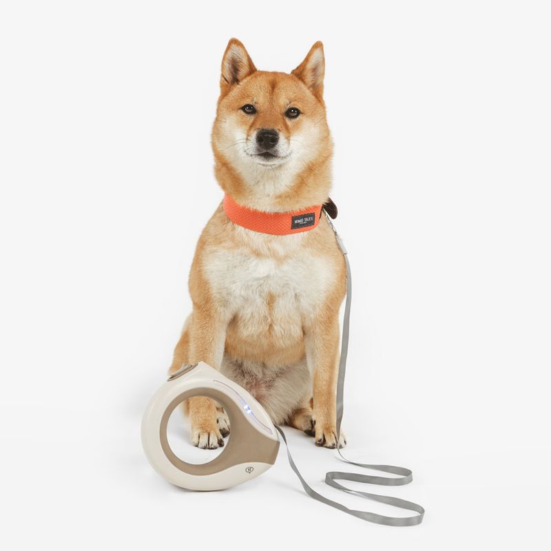 Nomad Tales Calma Retractable Lead with LED up to 15kg, approx. 3m (L)