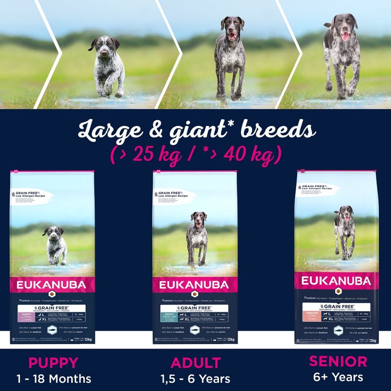 Eukanuba Senior Large Breed Grain-Free - Ocean Fish 12kg