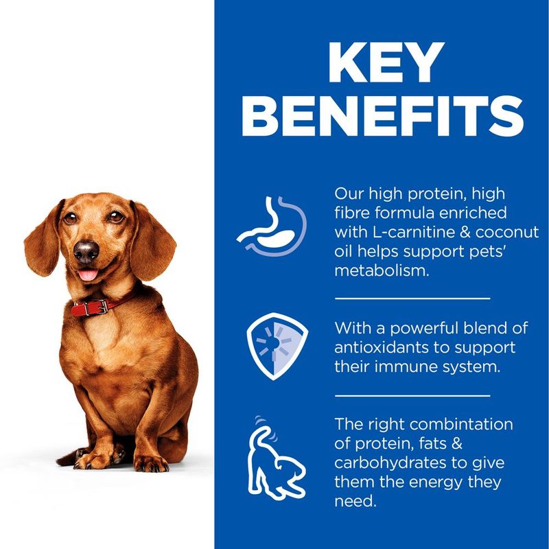 Hill's Science Plan Adult 1+ Perfect Weight Small & Mini Mousse Turkey (12 x 200g)