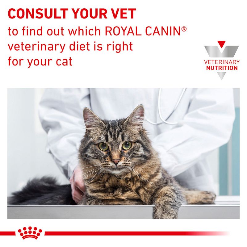 Royal Canin Veterinary - Gastrointestinal Moderate Calorie 2kg