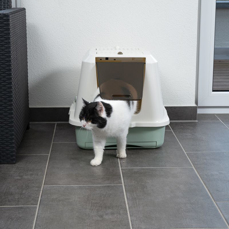 kooa Hooded Litter Tray with Eco-Plastic White & Mint