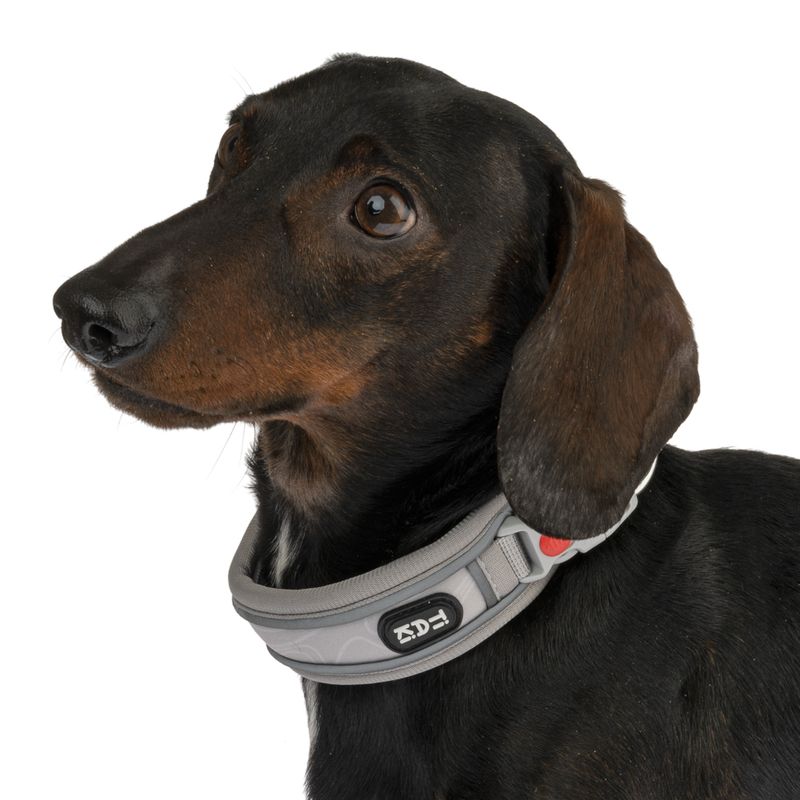 TIAKI Collar Soft & Safe, grey matching leash: 200 cm long, 20 mm wide