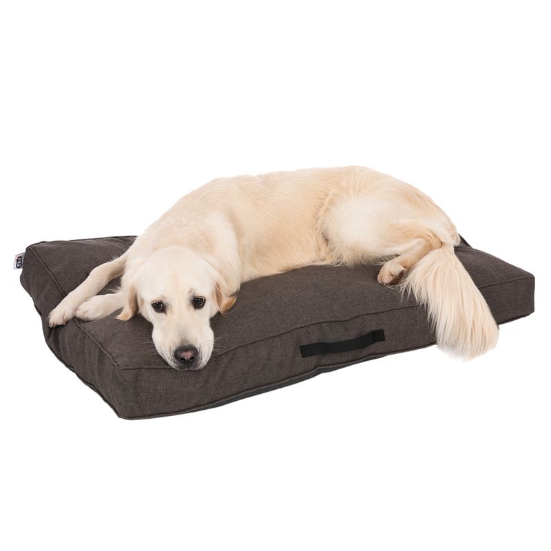 TIAKI Dog Mattress Memory Foam, brown S: L 80 x W 60 x H 17 cm