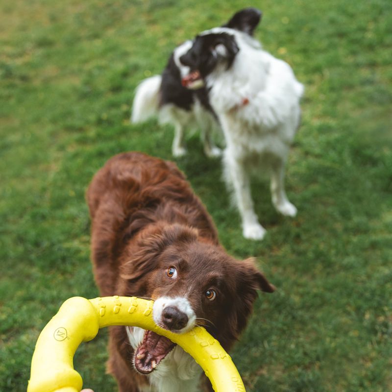 Nomad Tales Bloom Fitness Ring Size S: approx. Ø 18 cm