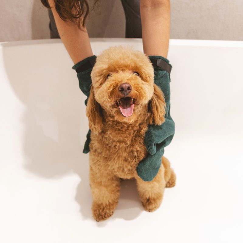 kooa Drying Glove 2 Gloves