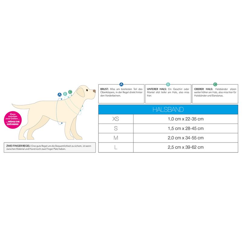 Max & Molly Smart ID Halsband Matrix 2.0 - Rosé S: 28-45cm Neck Circumference