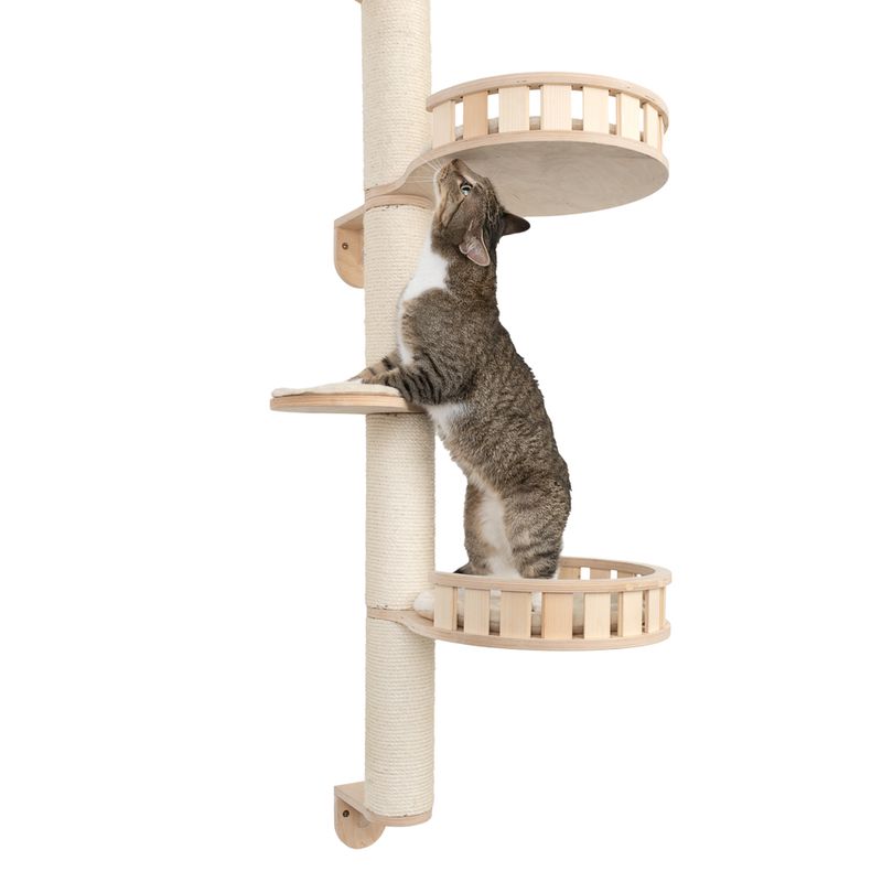 Natural Paradise Azalea Wall Scratcher Cream