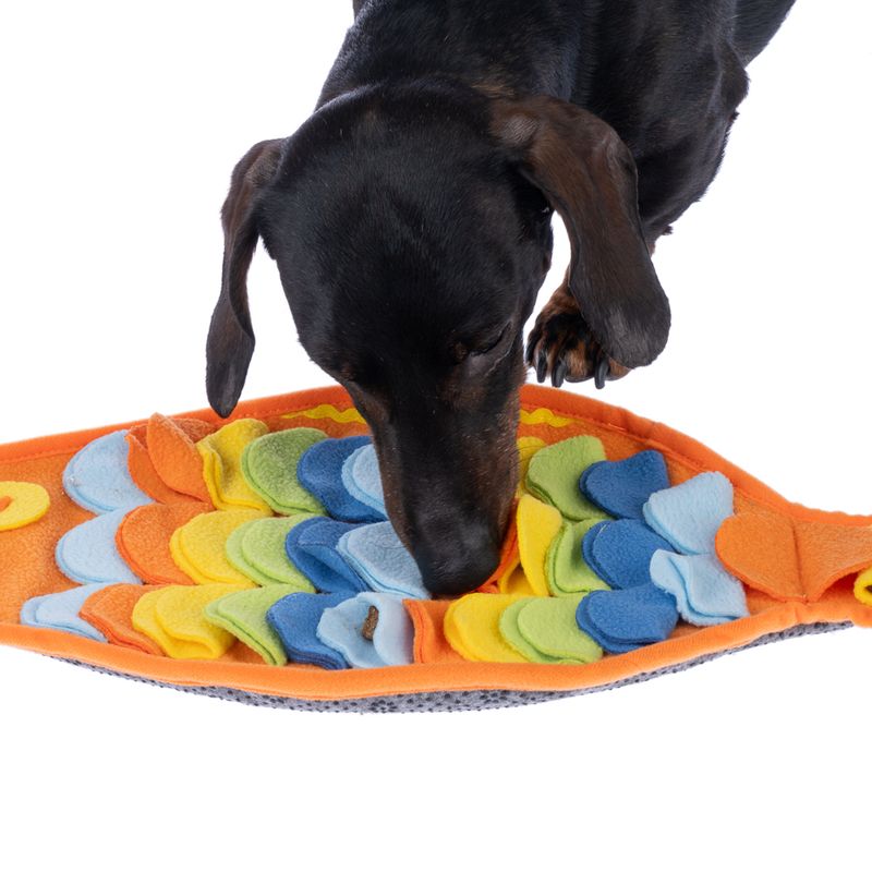 TIAKI Rainbow Fish Sniffing Mat approx. 48 x 25cm (L x W)