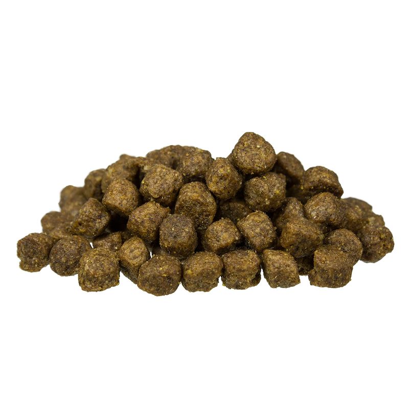 bosch Adult Mini Senior Dry Dog Food 2.5kg
