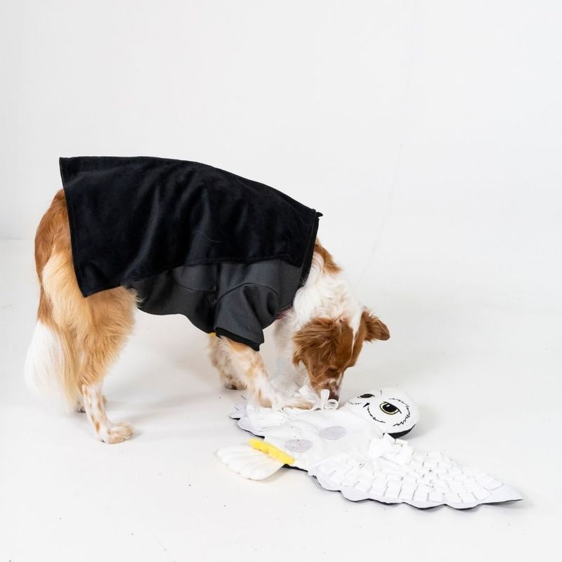 Harry Potter Hedwig Sniffer Mat approx. 68 x 38 cm (L x W)