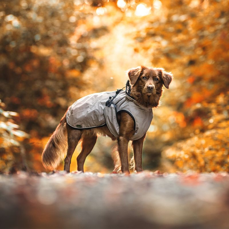 HUNTER Uppsala Dog Coat approx. 40cm Back Length