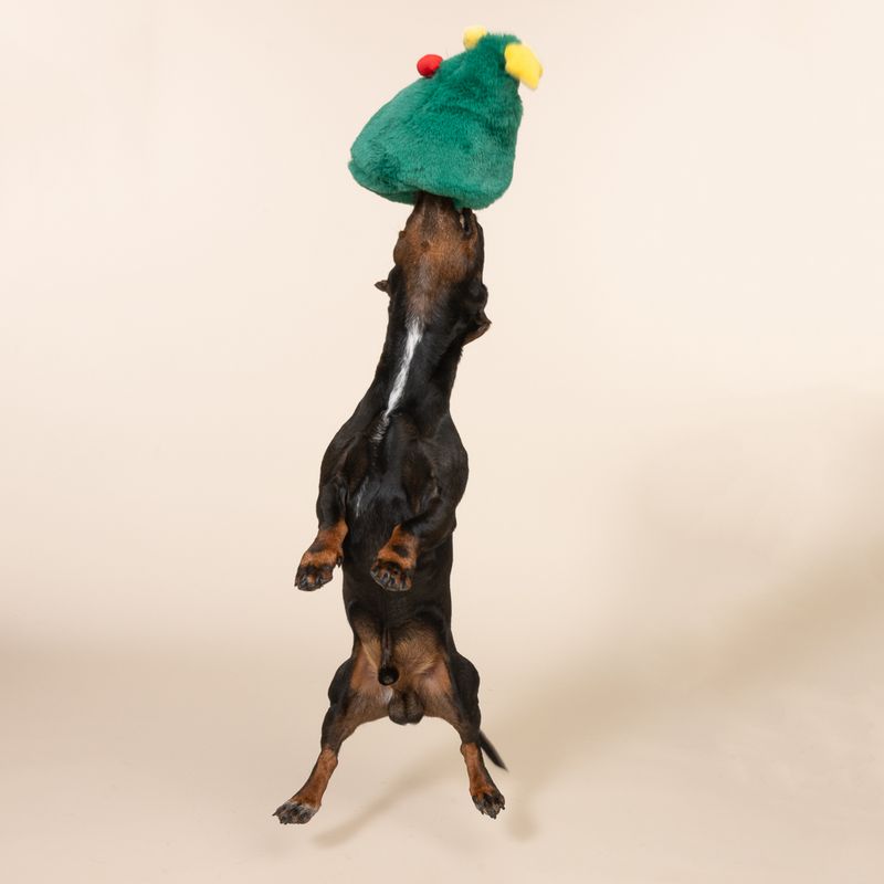 TIAKI Hide & Seek Gift Tree approx. 20 x 12 x 22.5 cm (L x W x H)