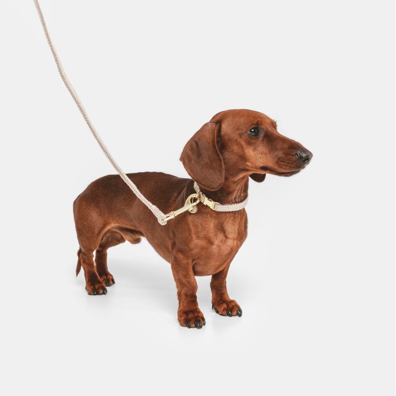 Nomad Tales Calma dog leash, sand 120 cm long, 15 mm wide